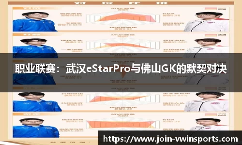 职业联赛：武汉eStarPro与佛山GK的默契对决